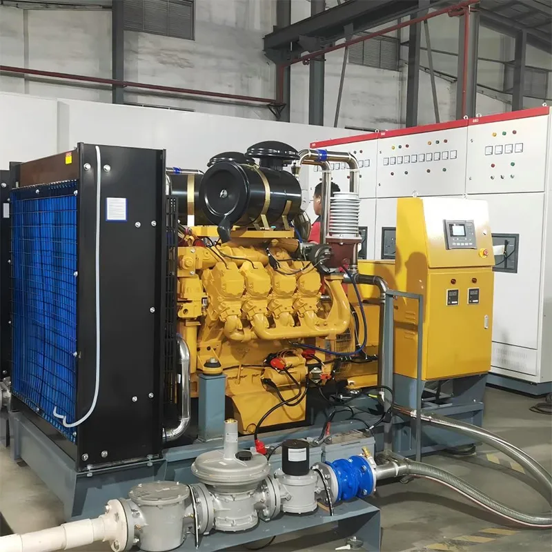 200 kW открытая биогазовая генераторная установка (6)