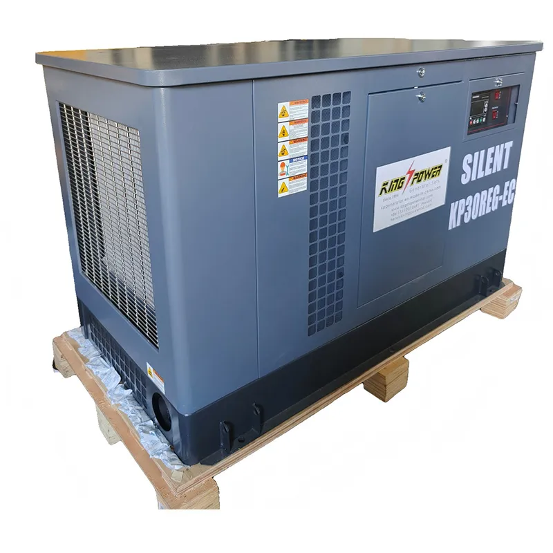 30 kW сверхтихий генератор на LPG (1)