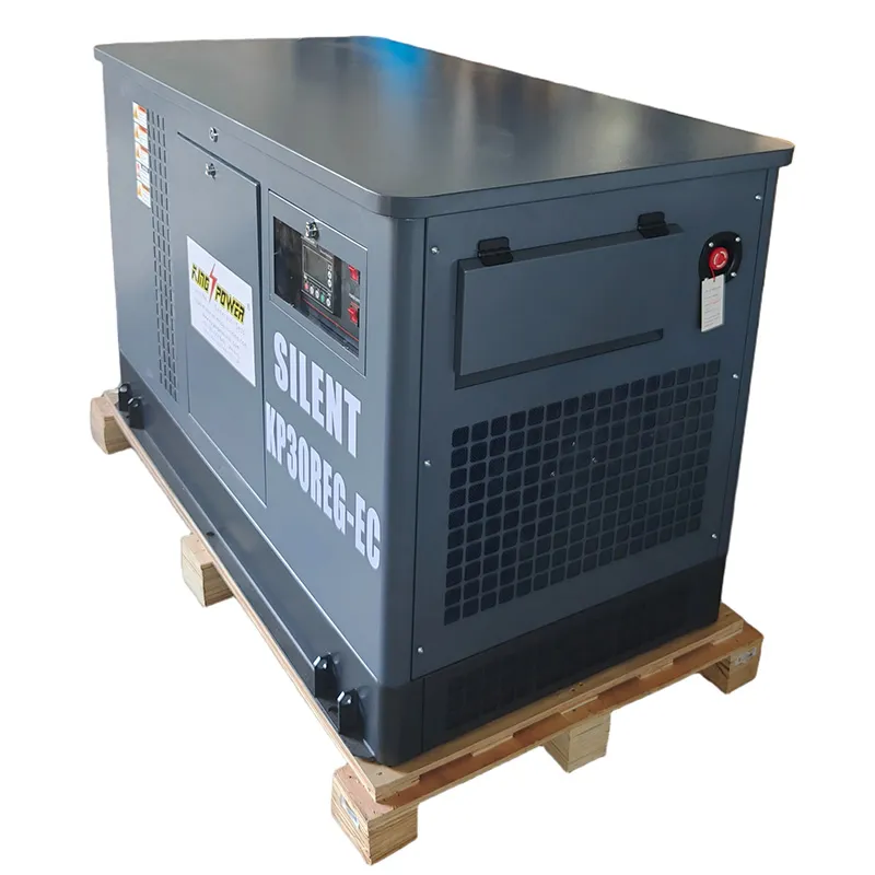 30 kW сверхтихий генератор на LPG (7)